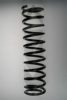 SPIDAN 55606 Coil Spring